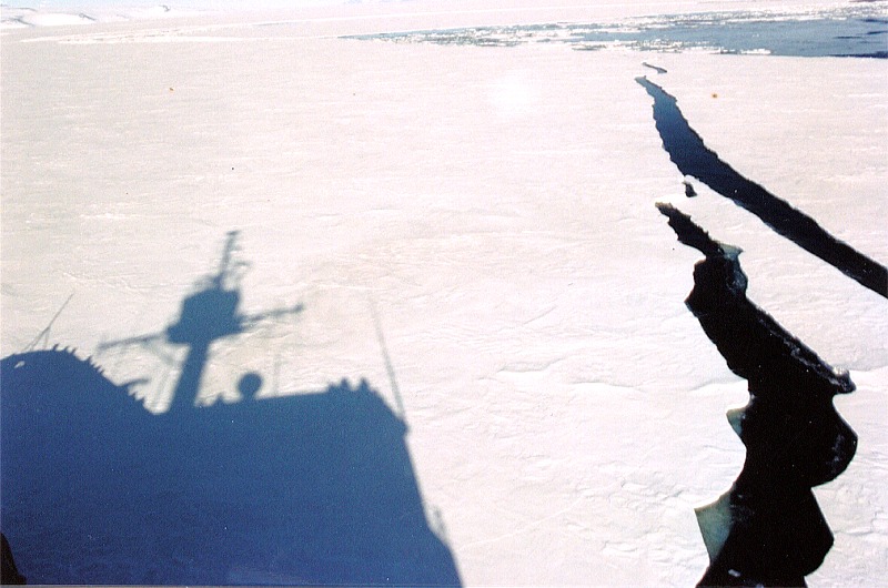 ant mcmurdo 11.jpg